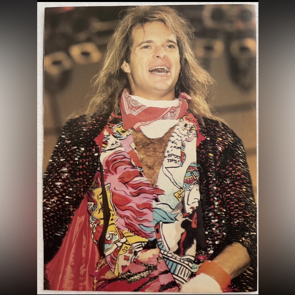 Van Halen’s David Lee Roth Pinup